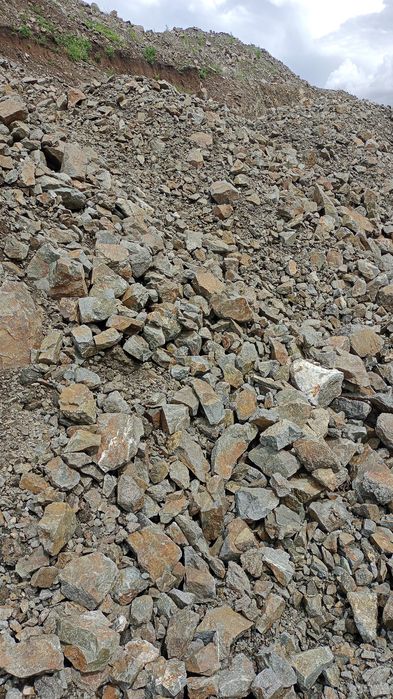 Скальник мелкий и крупный