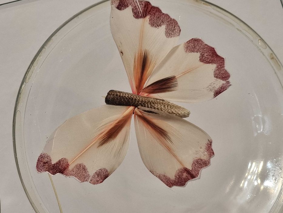 Tava, platou, suport de sticla, 25 cm