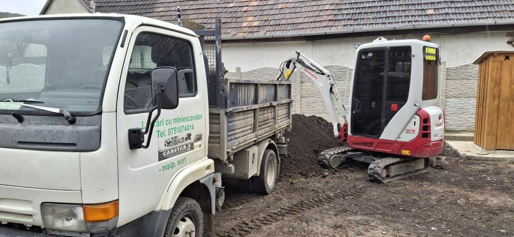 Miniexcavator și basculanta