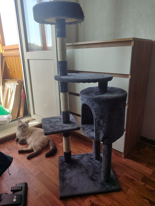 Продам клегтеточку