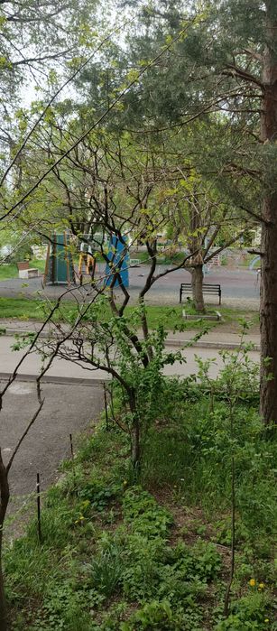 Продам 3х комнатную квартиру