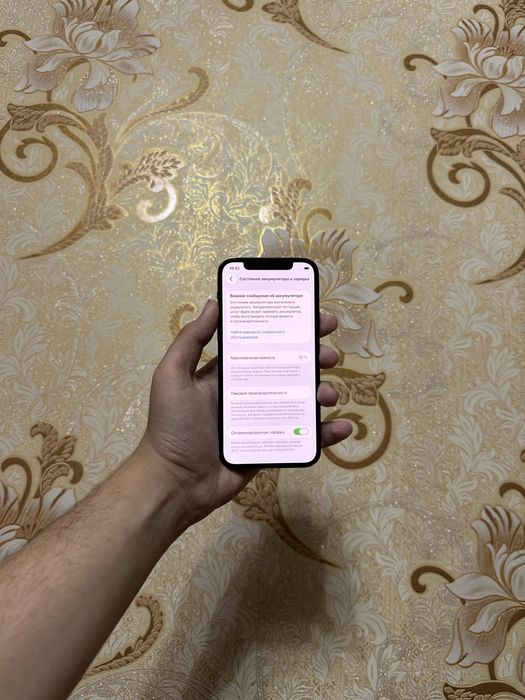 Iphone 12 pro 80%