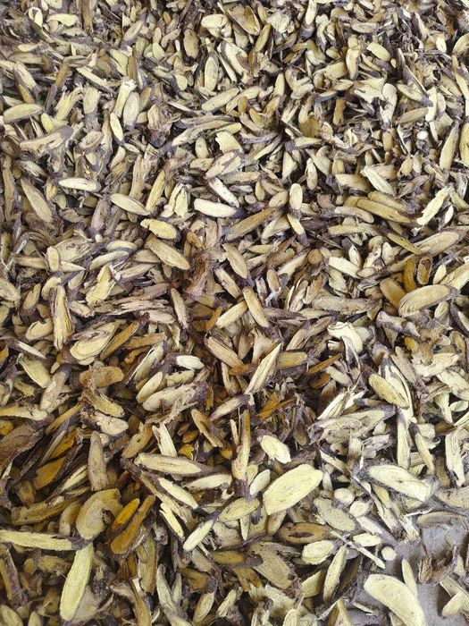 Qizilmiya  / Кизилмия / Солодка / Solodka