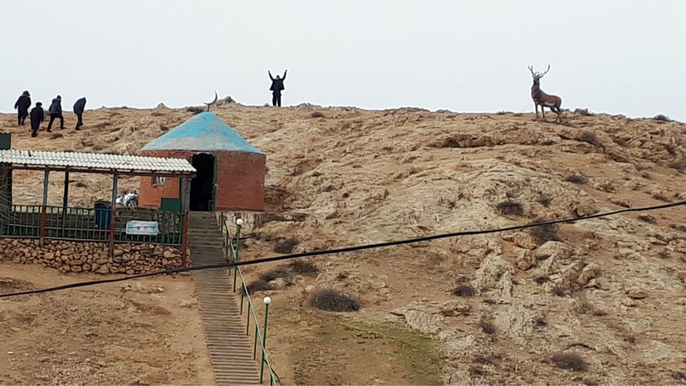 Туры по Туркестану