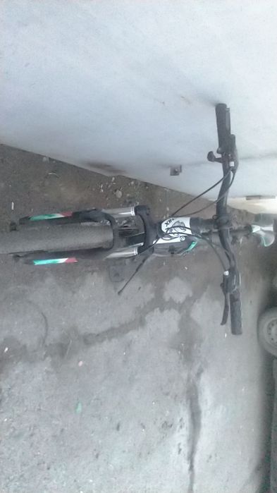 Тарандо  феникс х