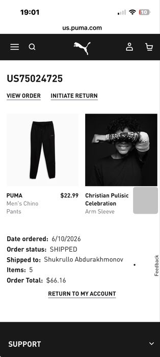 Puma x Pulisic Arm Sleeve экипировка