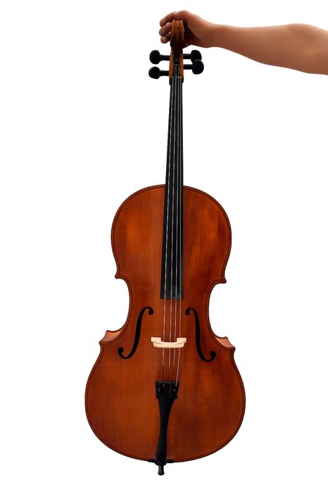 Violonchel 4x4 olchamdagisi