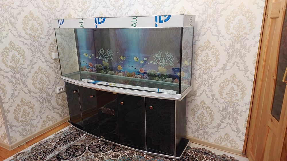 Сотилади аквариум узунлиги 160 см умумий баланлиги 140 см тумба бл