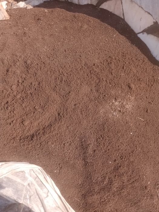 Bio gumus va kaliforna yomgir juvalchangi sotiladi