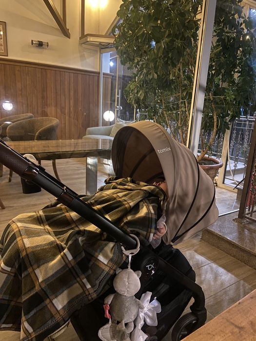 Коляска Tomix Selena 3 в 1