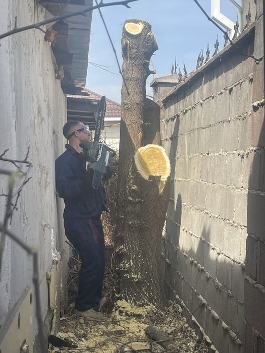 Разнорабочие, копка, спил деревьев, грузчики