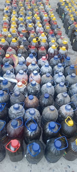 Atxot yog olamiz keliwilgan xolda