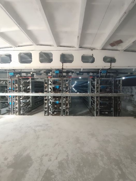 Срочно продается в Кибрае птица ферма 1,7 га готовый бизнес
