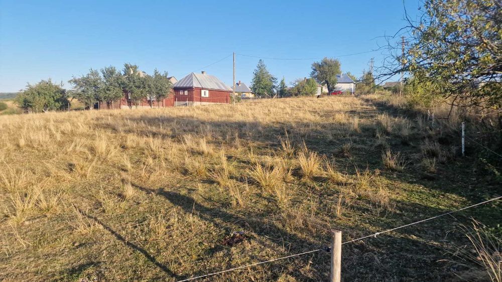 Teren Intravilan Rasca