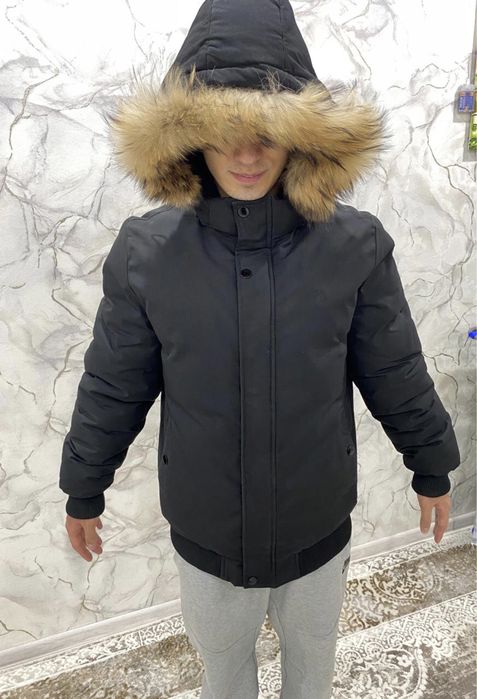 Зимины куртка polo