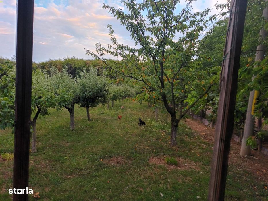 Casa cu 1ha teren la Baisa