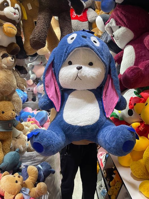 Myaxkiy igrushka kapishon мягкие игрушка капишон