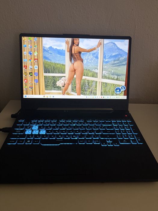 Asus a15  FA506NC