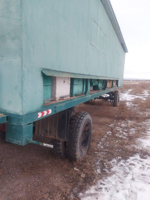 Пасека, улики, пчеловодство