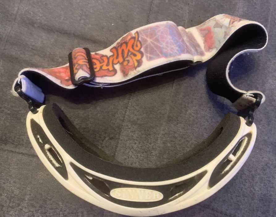 Очила за ски Sinner, Alpina