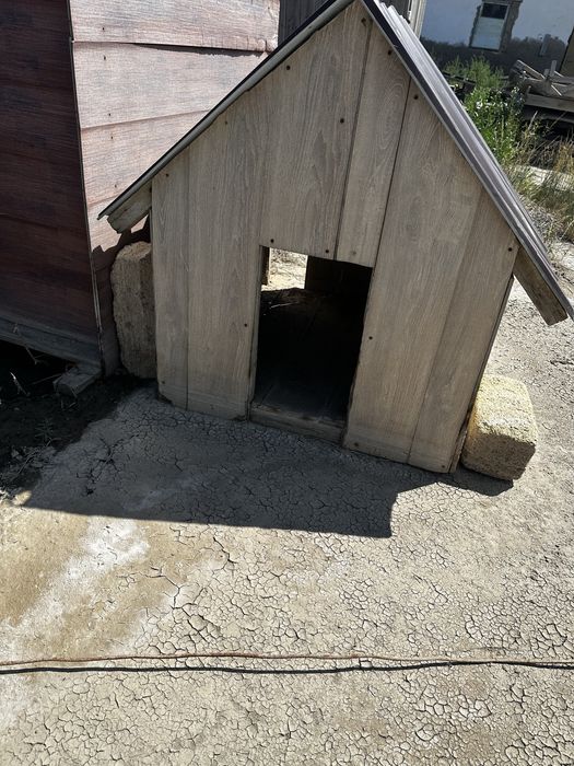 Вольер для собаки