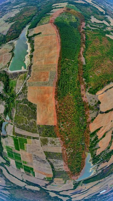 гора и земеделска земя, общо 588дка