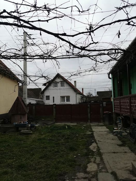 Casa de vanzare Albesti
