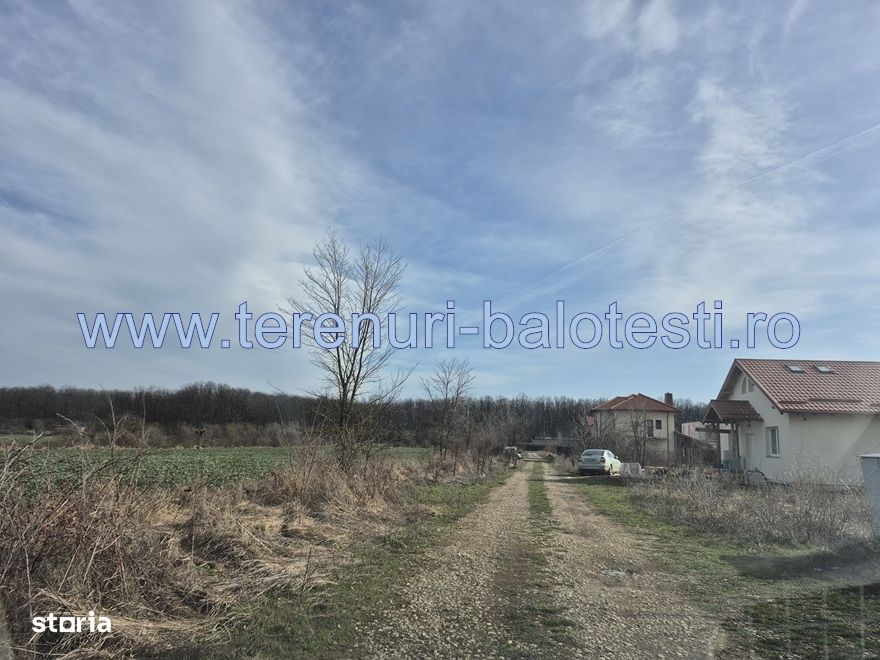 Teren cu gaz si electrica-hotar, 28000 E, padure