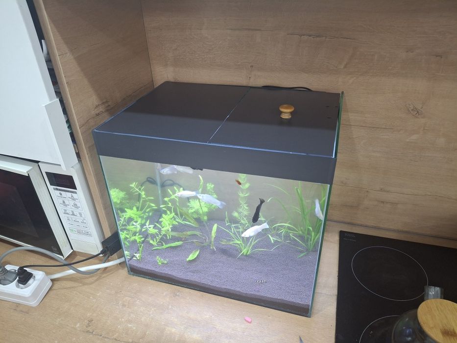Аквариум 40 литров