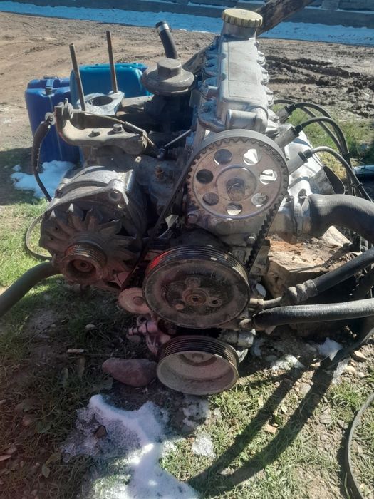 Нормално састаиани