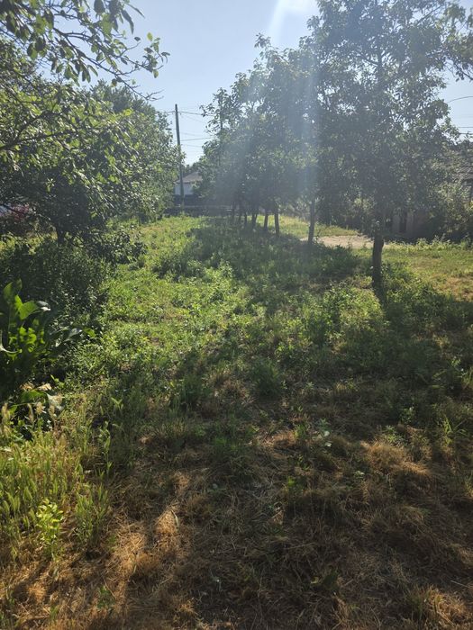 Casa Batraneasca  minunată Buzău