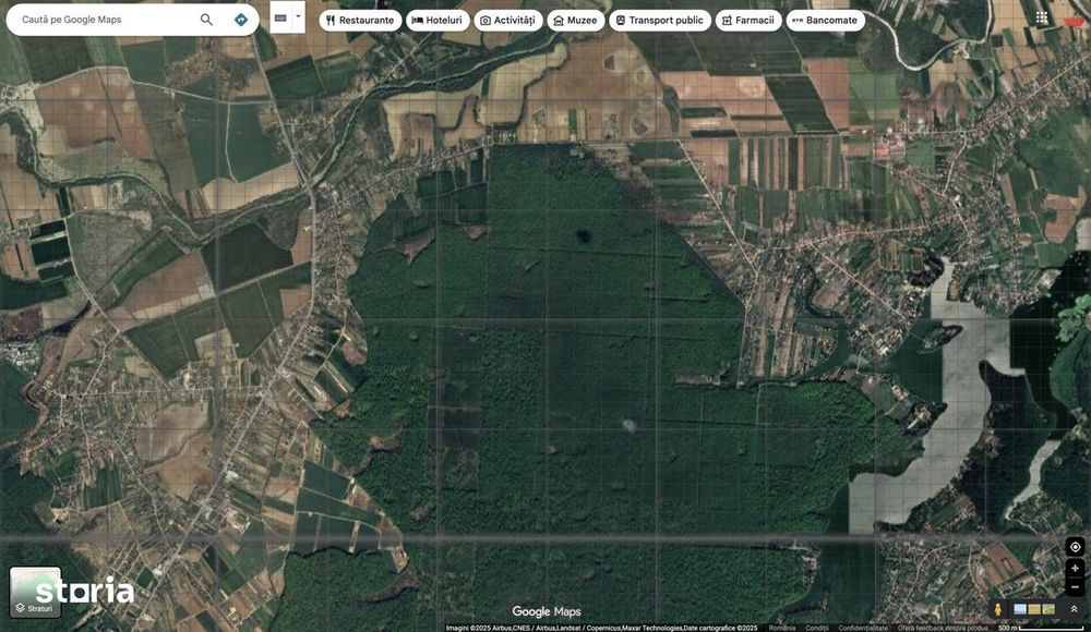 `Teren langa padure, Snagov - Strada Parcului