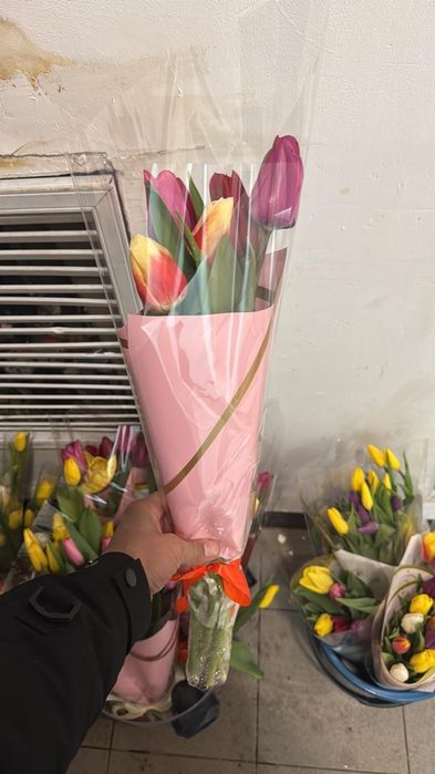 Оптом тюльпан есть