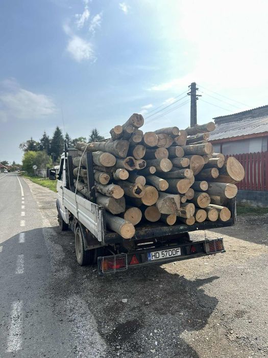 Lemn foc fag întreg sau gata tăiat și spart !! Tot județul Hunedoara!De la 3.8 MC la 17MC