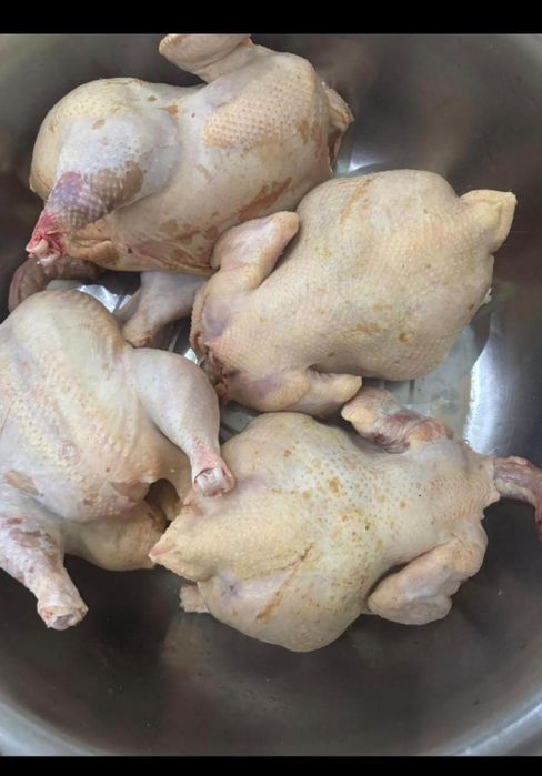 Бройлер домашнии курица