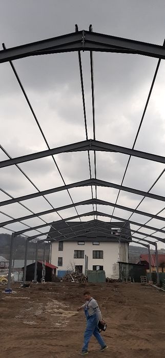 Vand hale metalice din profile ipe