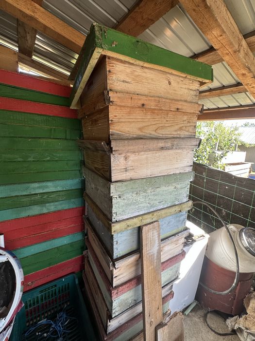 Lazi pentru familii de albine