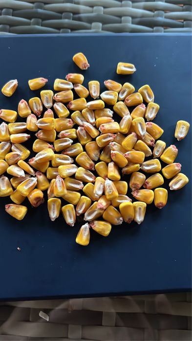 Корма всех видов