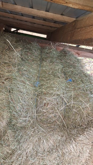 Baloti de otava 2025