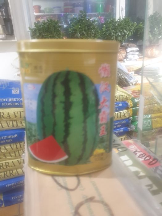 Арбузы китайский