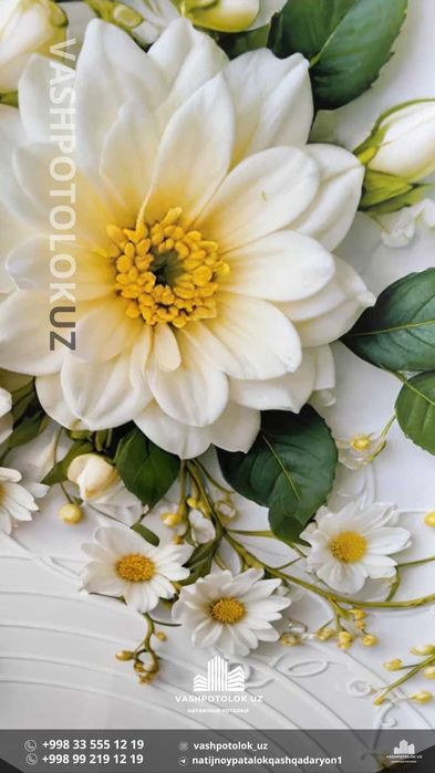 яккабог натяжной потолок