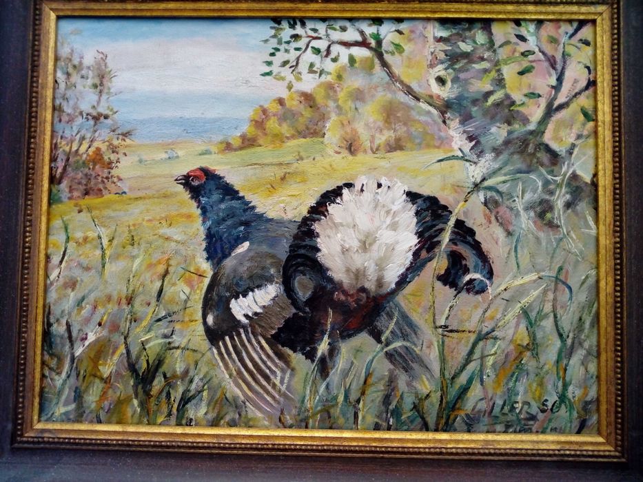 Tablou / Pictura : cocos de munte