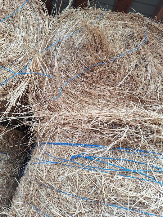 Baloti lucerna rotunzi 120x120si baloti dreptunghiulari