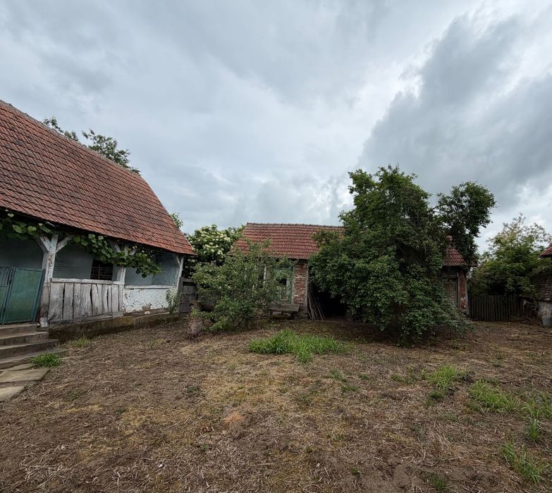 Casa veche cu teren
