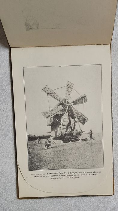 Дали - Ормана в картини. Фотографически снимки