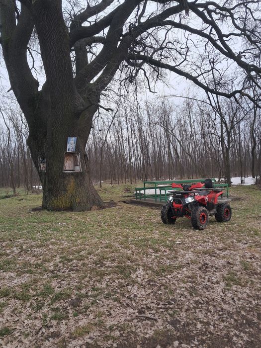 Atv 125cc de vanzare
