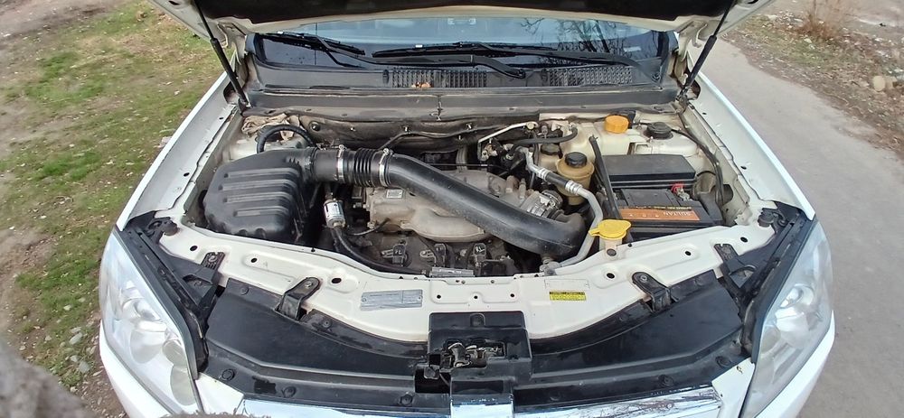 Каптива1 нахт, ВИКУПКА БОР