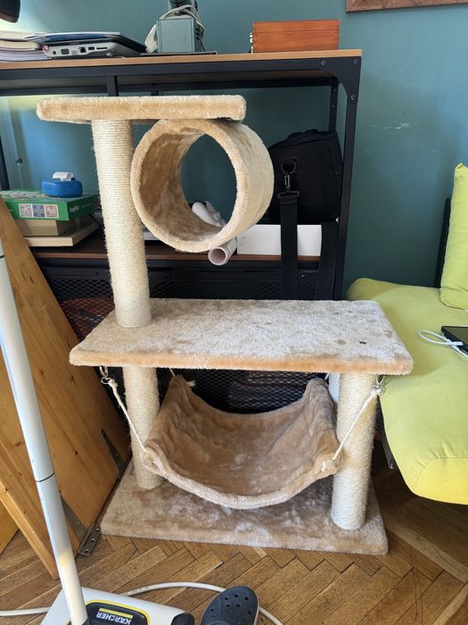 Котешка катерушка