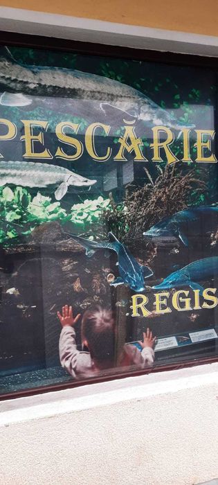 Vând afacere la cheie-Pescărie Curtea de Argeș