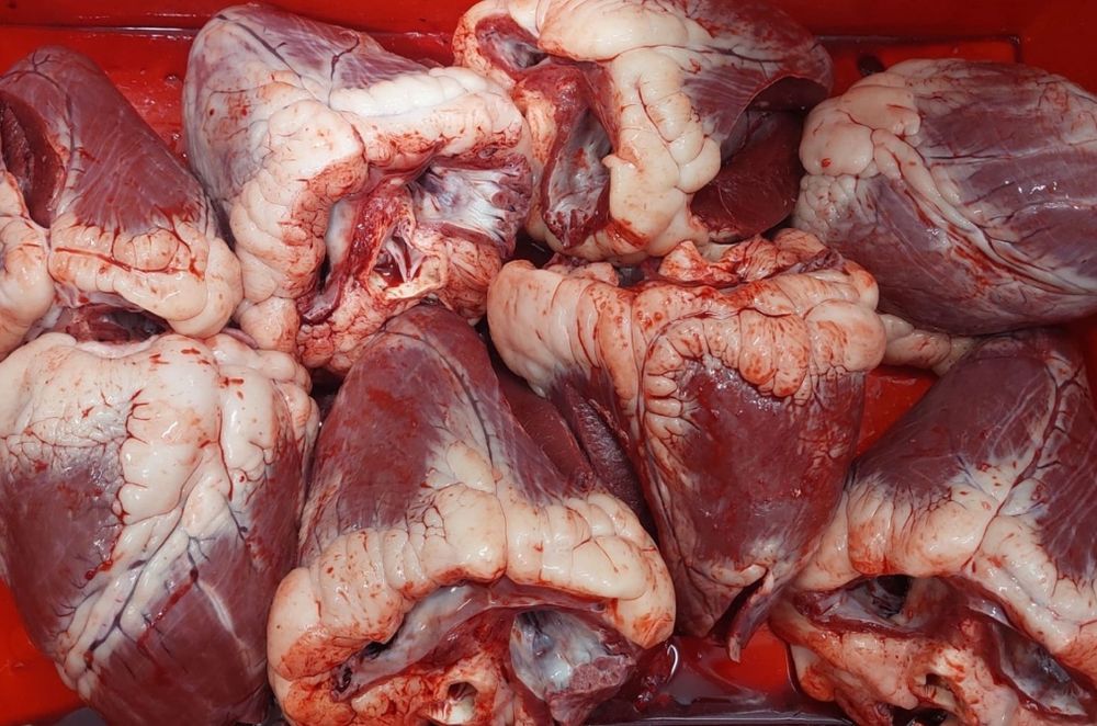 Говяжье сердце есть наличие